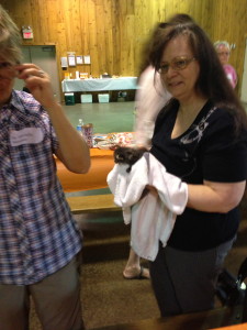 Handfed orphans show up in veterinarians' purses and bags, even at CE meetings!