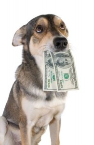 Veterinary Payment solutions are really an extension of your Mission to help clients and pets.  Don't think of them as caving in on collecting payments