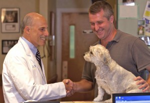 Dr. Howard Gittleman, Medical Director, is the driving force behind Animal Medical's technology, surgical excellence, and great client care