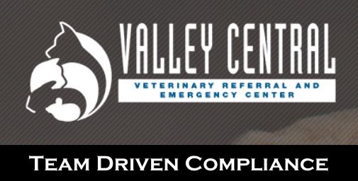 Bash Halow lectures on veterinary compliance