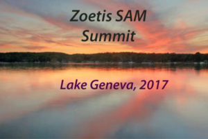 Bash Halow at SAM summit 2017 at Lake Geneva, Wisconsin
