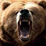 Are you a bear to work with? Workplace Conflict in the Veterinary Office