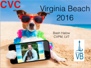 Bash Halow provides veterinary ce at this year's CVC Virginia Beach 2016