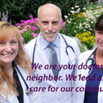 Create A Mission Statement for Your Veterinary Practice